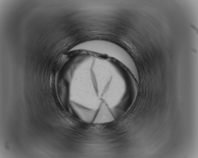 X0000091000125200708301343