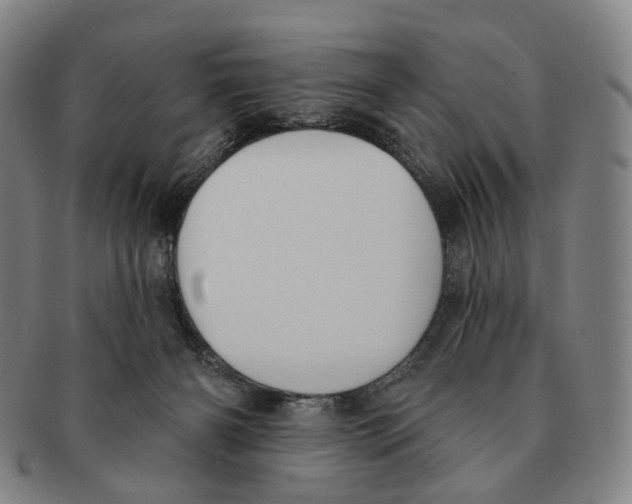 X0000091000126200708301343