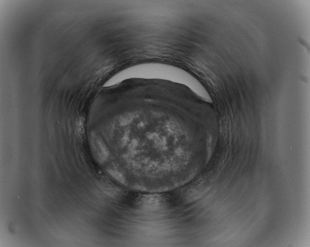 X0000091000127200708301343
