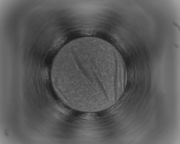 X0000091000128200708301343