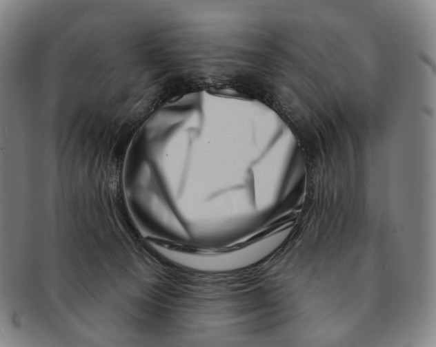 X0000091000129200708301343