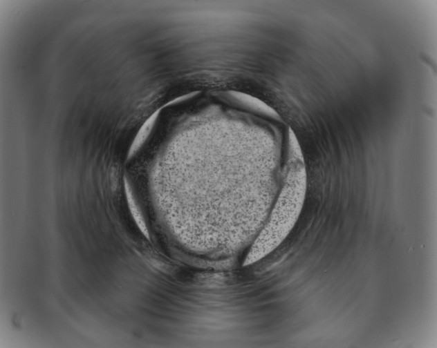 X0000091000131200708301343