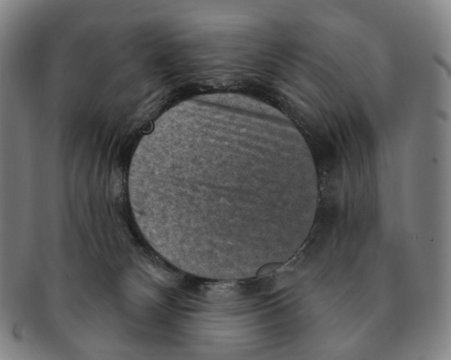 X0000091000132200708301343