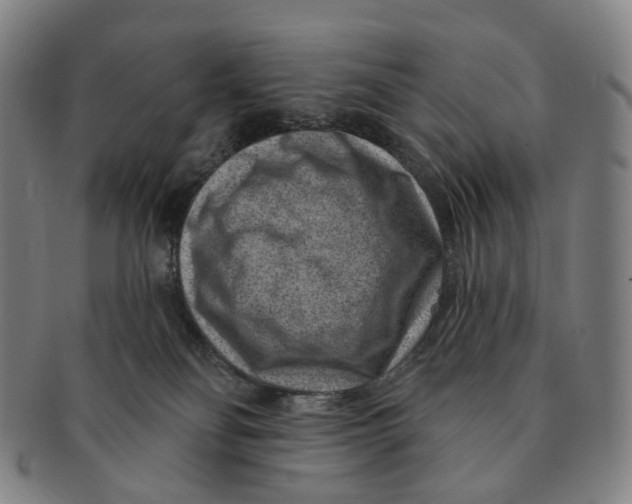 X0000091000134200708301343