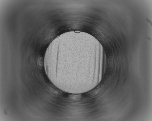 X0000091000135200708301343