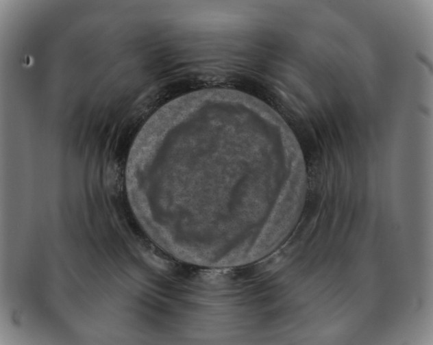 X0000091000136200708301343