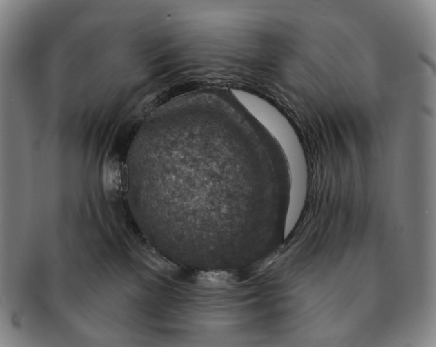 X0000091000137200708301343