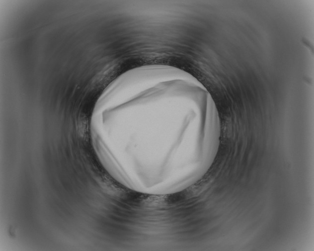 X0000091000138200708301343