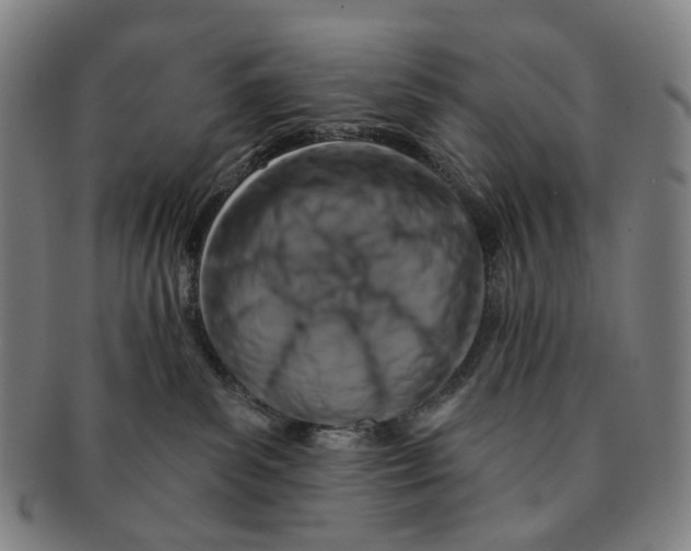 X0000091000139200708301343