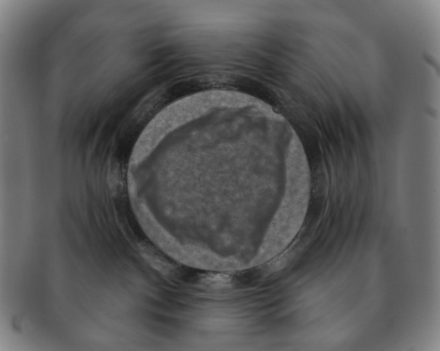X0000091000140200708301343