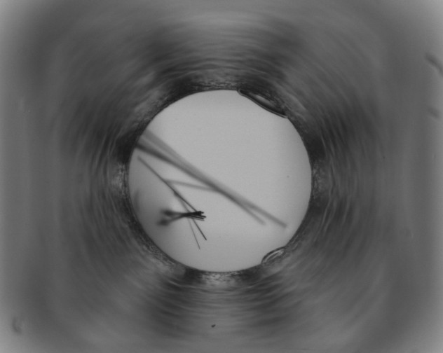 X0000091000141200708301343