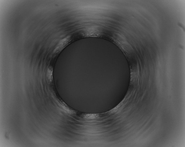 X0000091000142200708301343