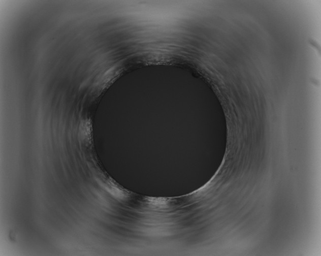 X0000091000144200708301343