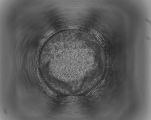 X0000091000145200708301342