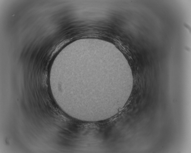 X0000091000146200708301342
