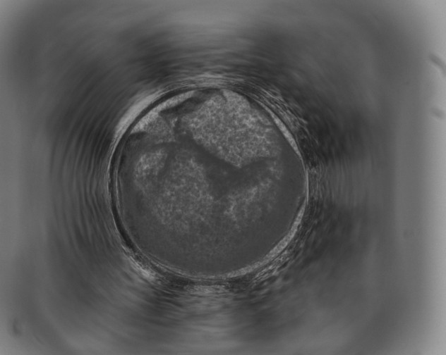 X0000091000147200708301342