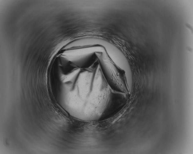 X0000091000148200708301342
