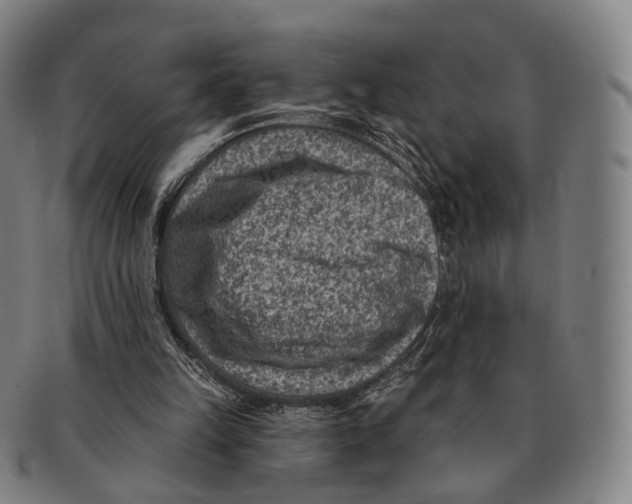 X0000091000149200708301342