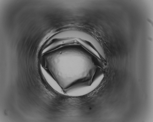 X0000091000150200708301342