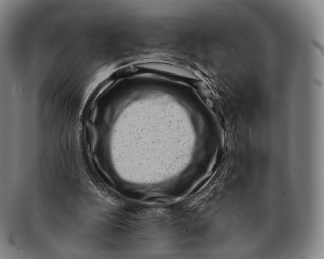 X0000091000152200708301342