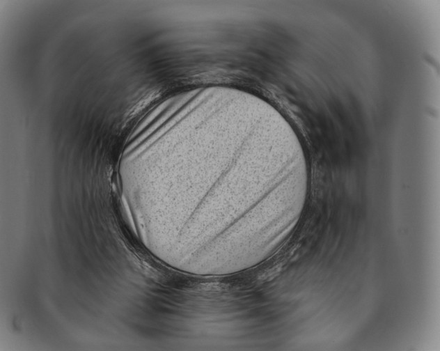 X0000091000153200708301342