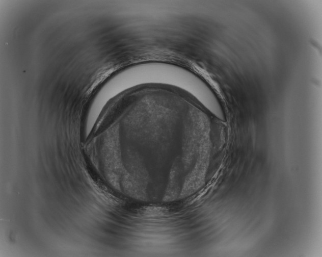 X0000091000154200708301342