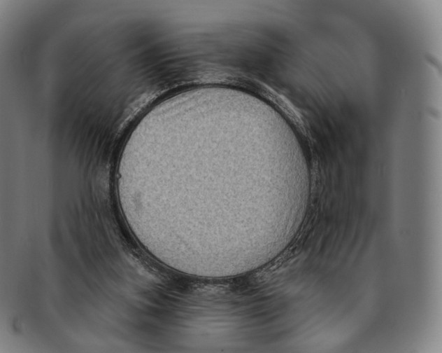 X0000091000155200708301342