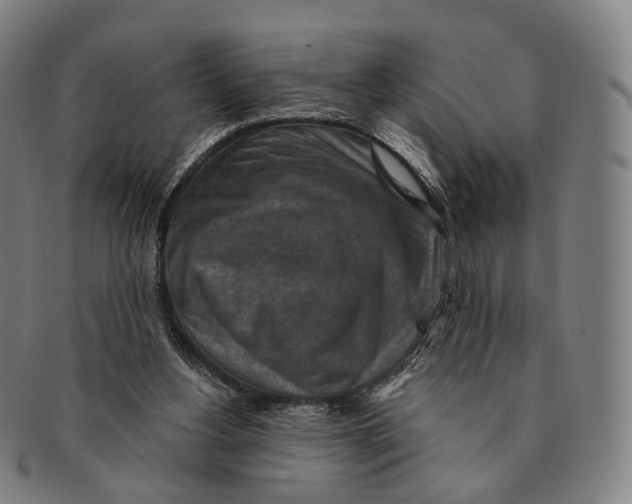 X0000091000156200708301342