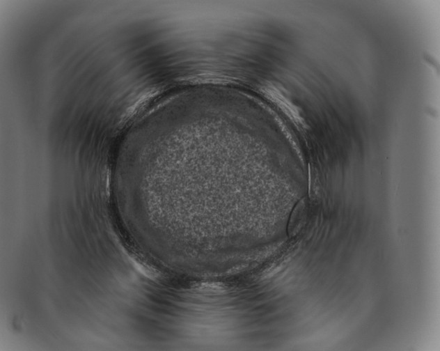 X0000091000157200708301342
