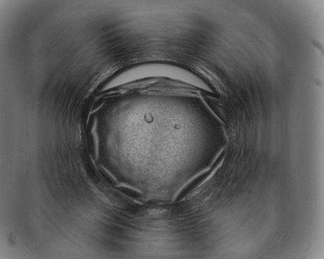 X0000091000158200708301342