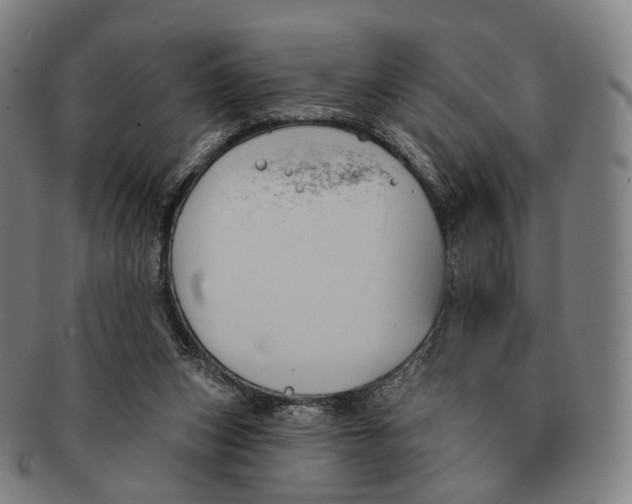X0000091000159200708301342