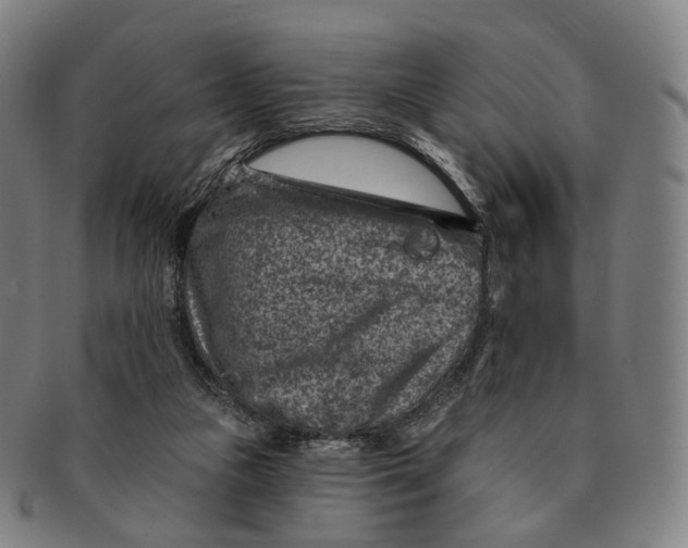 X0000091000161200708301342