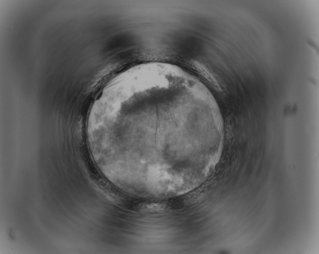 X0000091000163200708301342