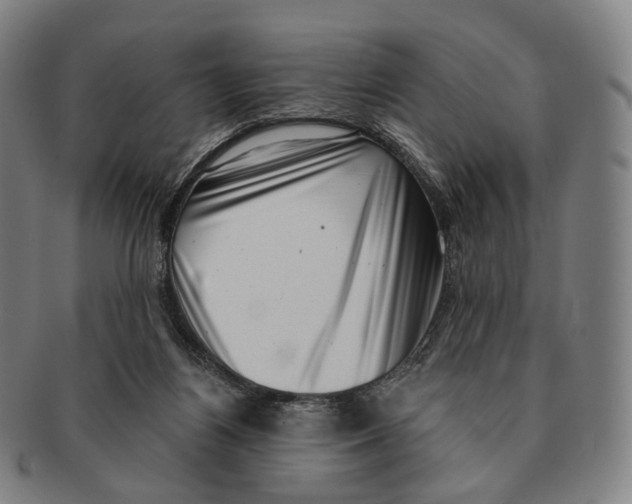 X0000091000164200708301342