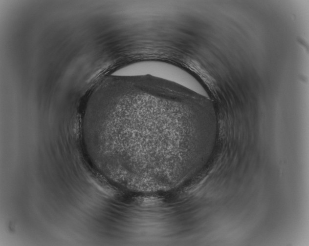 X0000091000165200708301342