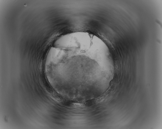 X0000091000167200708301342