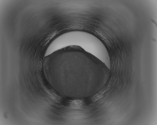 X0000091000168200708301342