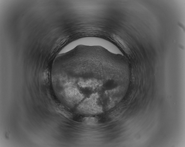 X0000091000169200708301342