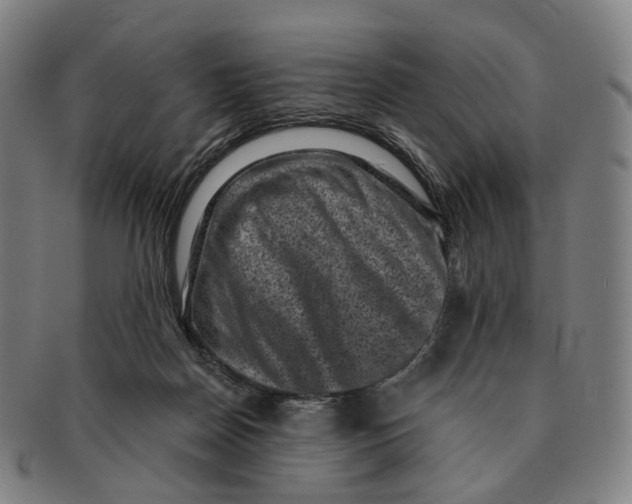 X0000091000170200708301342