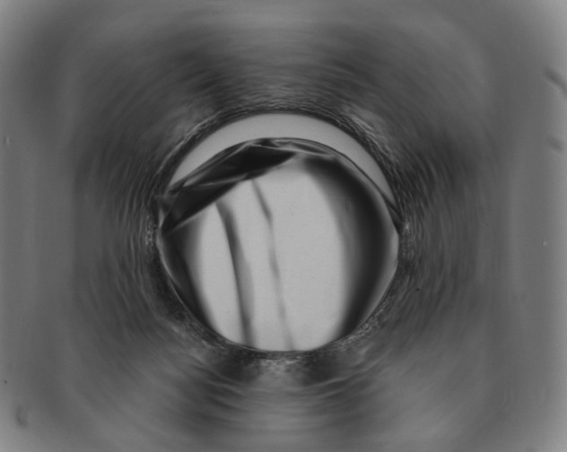 X0000091000172200708301342