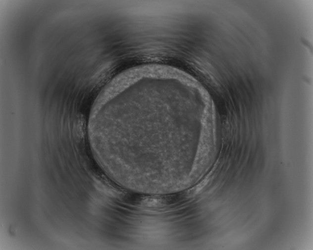 X0000091000174200708301342