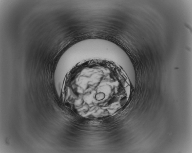 X0000091000176200708301342
