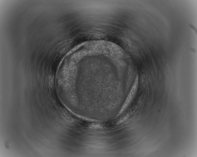 X0000091000177200708301342