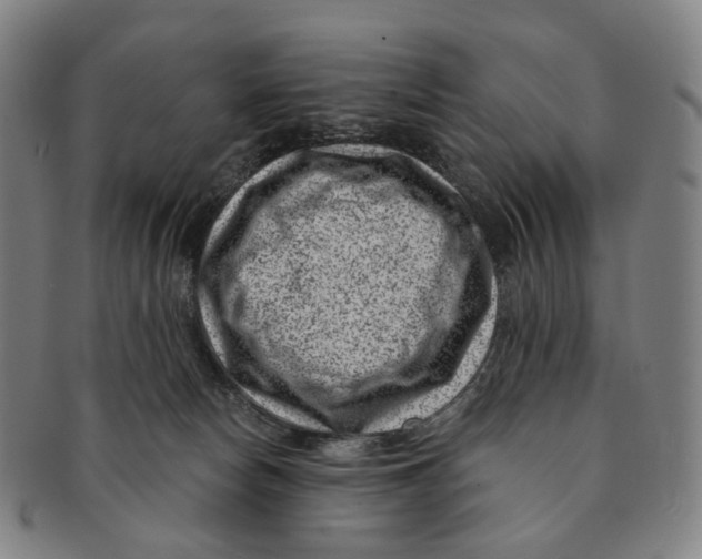 X0000091000178200708301342