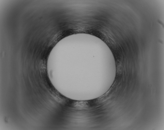 X0000091000179200708301342