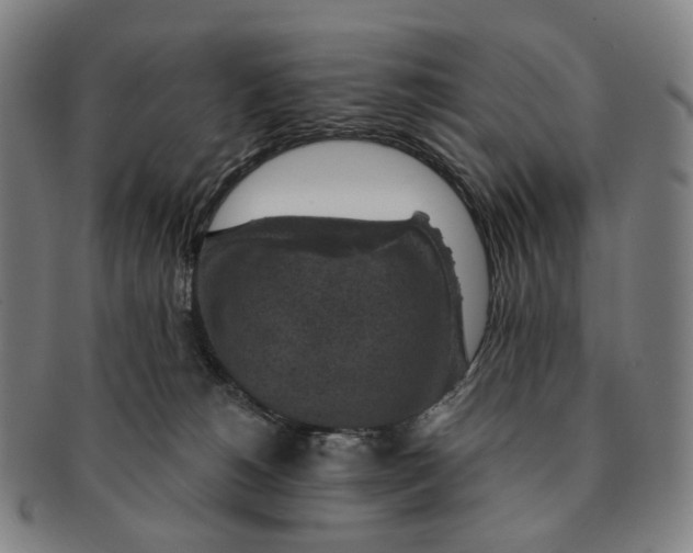 X0000091000180200708301342