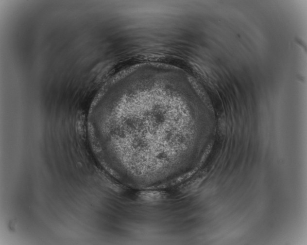 X0000091000181200708301342