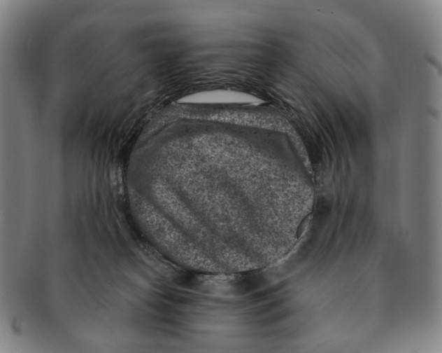 X0000091000182200708301342