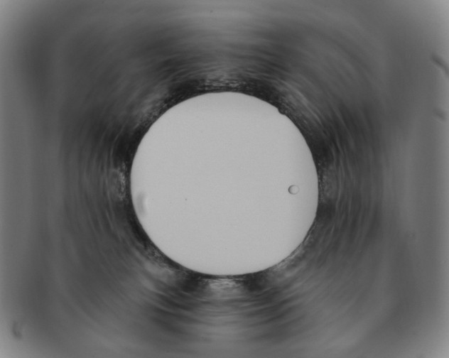 X0000091000183200708301342