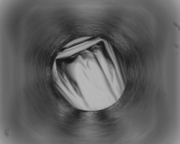 X0000091000184200708301342